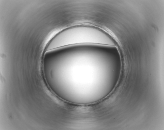 X0000091191277200708091016