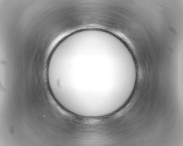 X0000091191278200708091016
