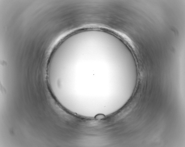 X0000091191279200708091016