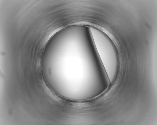 X0000091191281200708091016