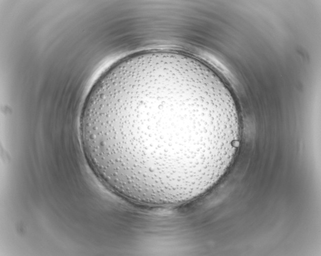 X0000091191283200708091016