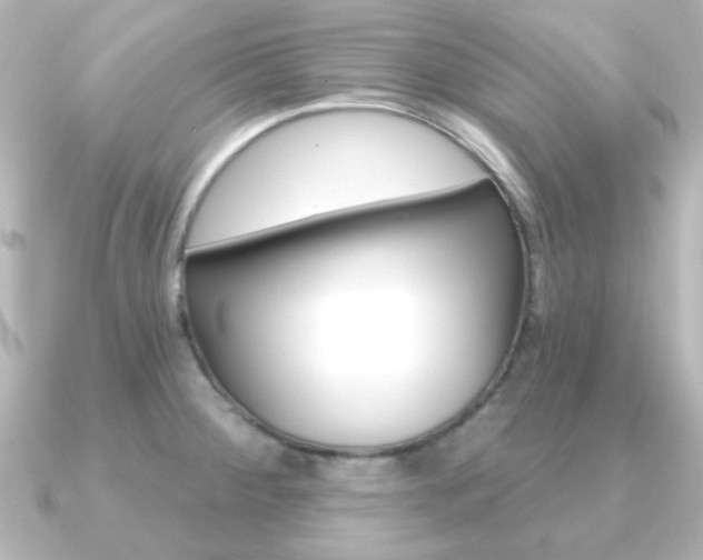X0000091191284200708091016