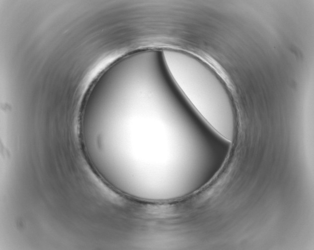 X0000091191285200708091016