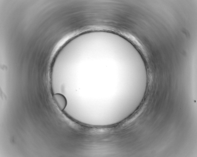 X0000091191286200708091016