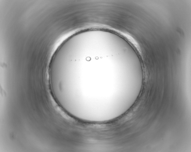 X0000091191287200708091016