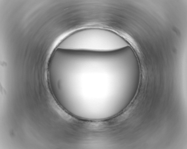 X0000091191288200708091016