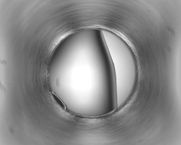 X0000091191289200708091016