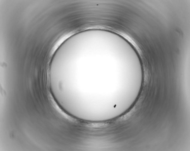 X0000091191290200708091016