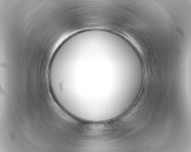 X0000091191291200708091016