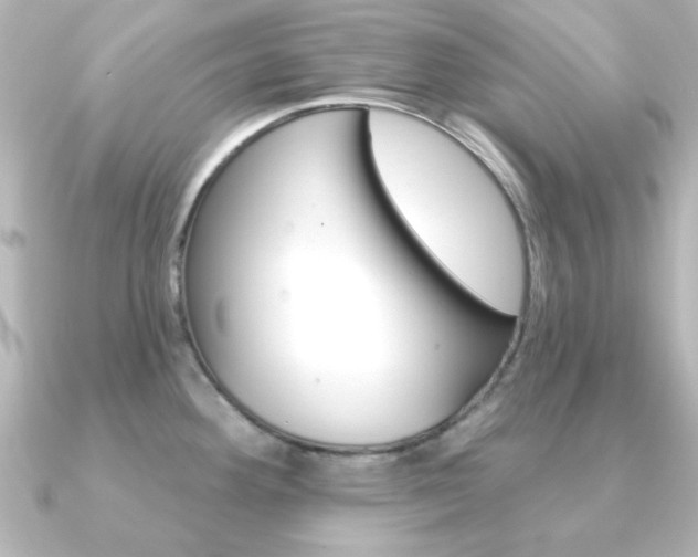 X0000091191292200708091016