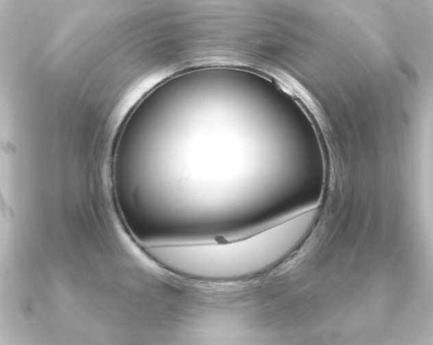 X0000091191293200708091015