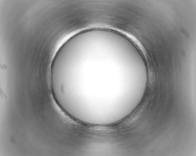 X0000091191295200708091015