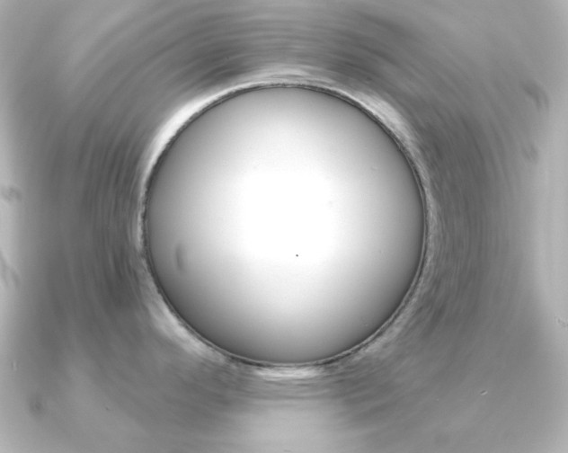 X0000091191296200708091015