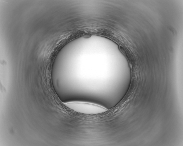 X0000091191297200708091015