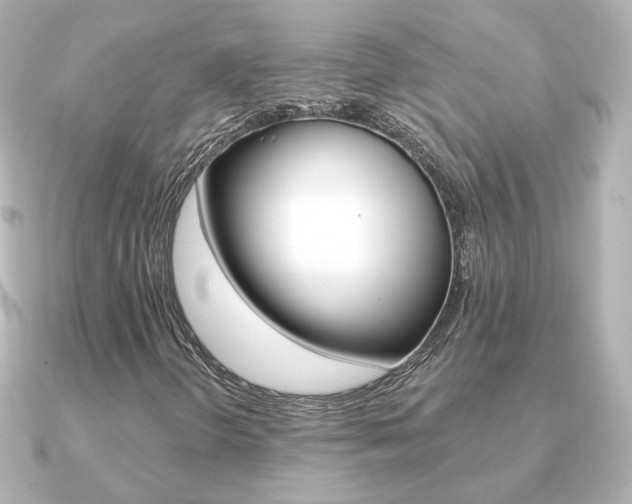 X0000091191298200708091015