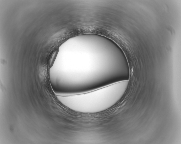 X0000091191299200708091015