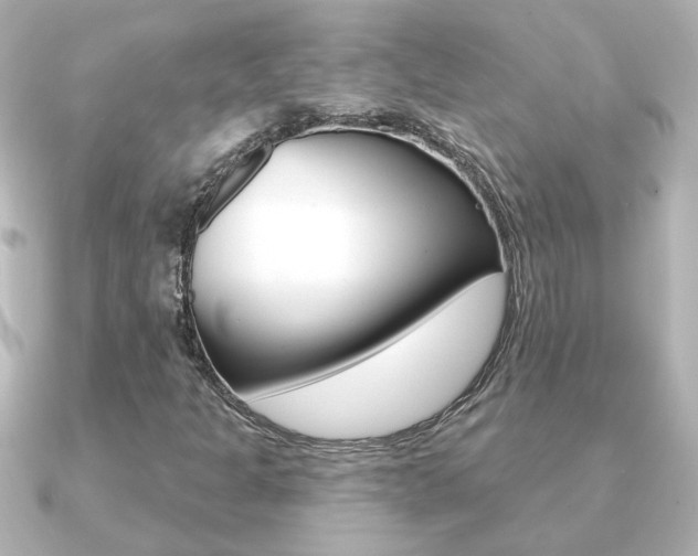 X0000091191301200708091015