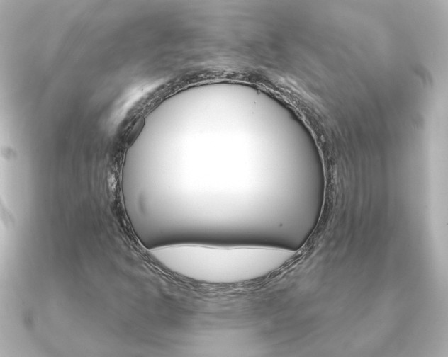 X0000091191302200708091015