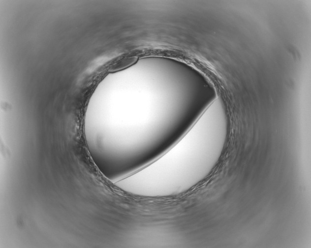 X0000091191303200708091015
