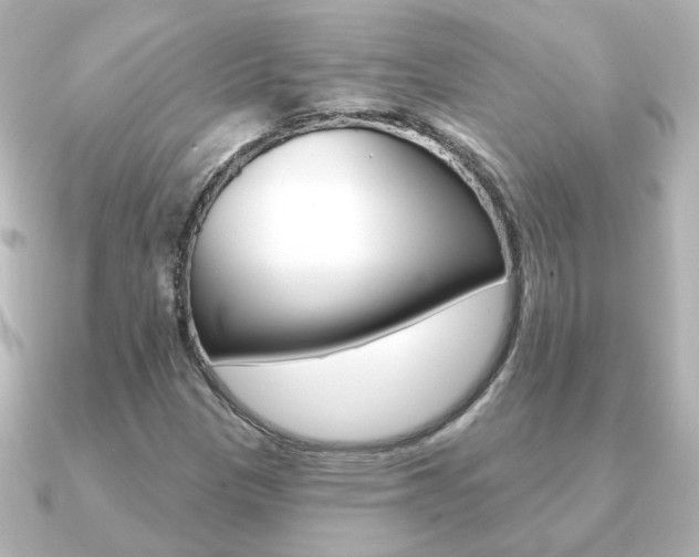 X0000091191305200708091015