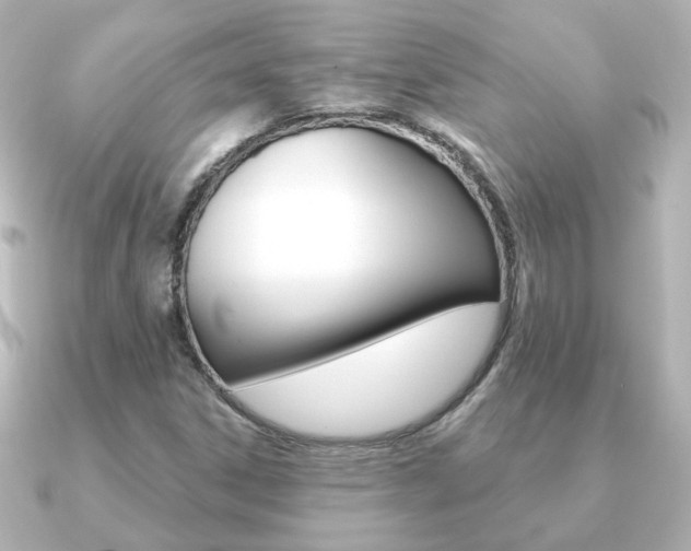 X0000091191306200708091015