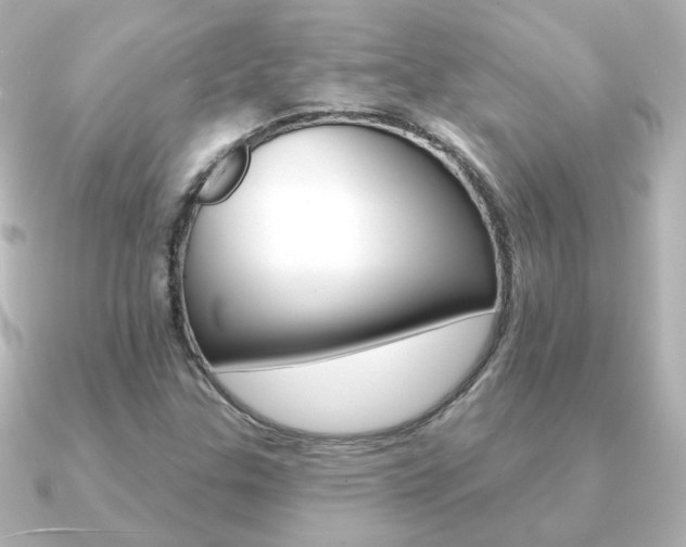 X0000091191307200708091015