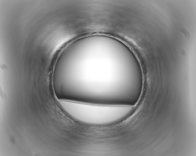 X0000091191309200708091015