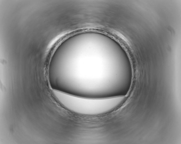 X0000091191310200708091015