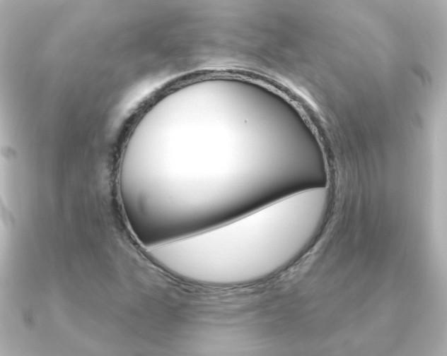 X0000091191311200708091015