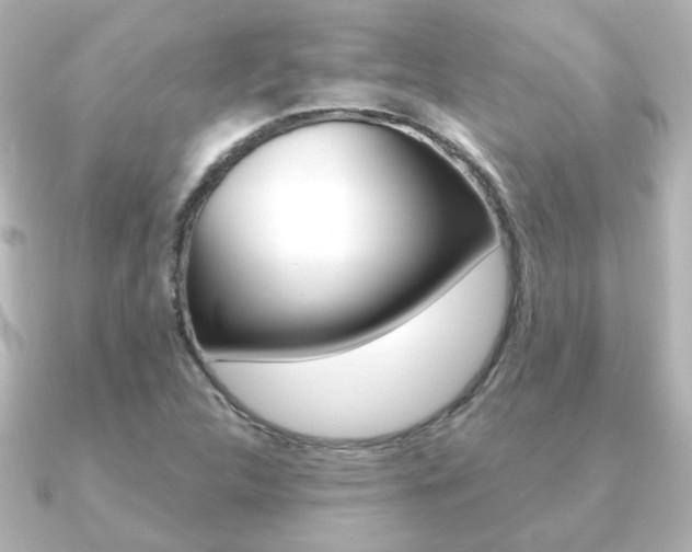 X0000091191312200708091015