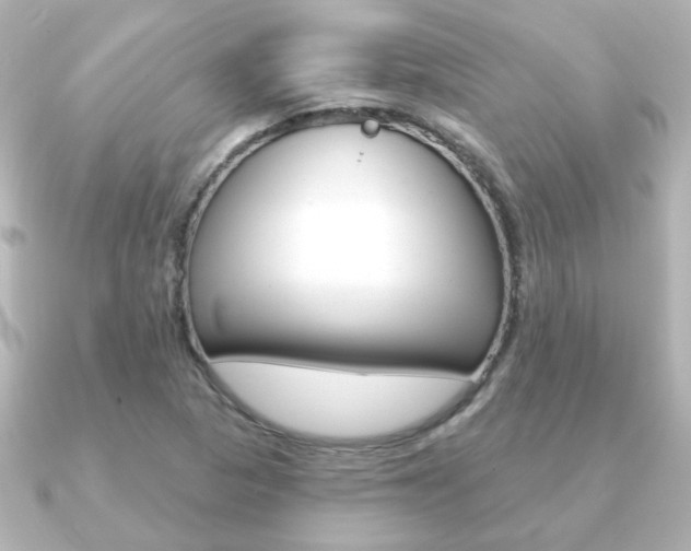 X0000091191313200708091015