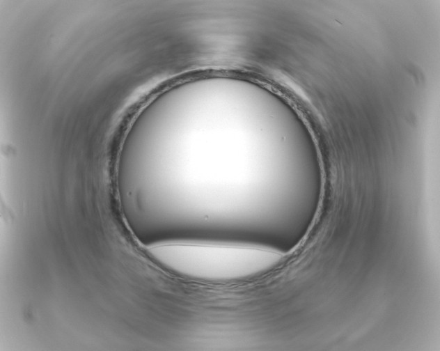 X0000091191315200708091015