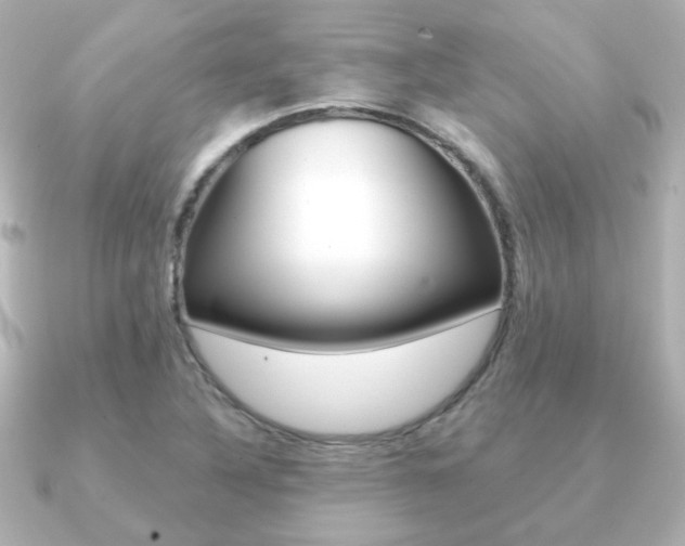 X0000091191316200708091015