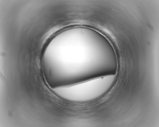 X0000091191318200708091015