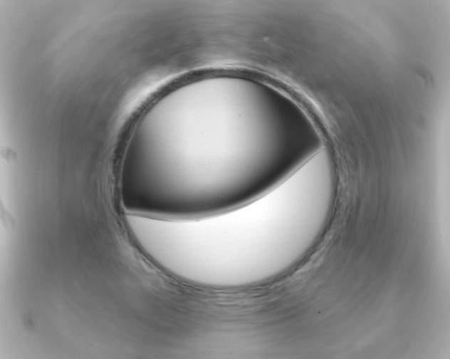 X0000091191319200708091015