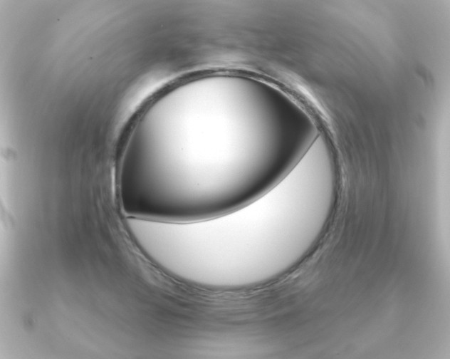 X0000091191320200708091015