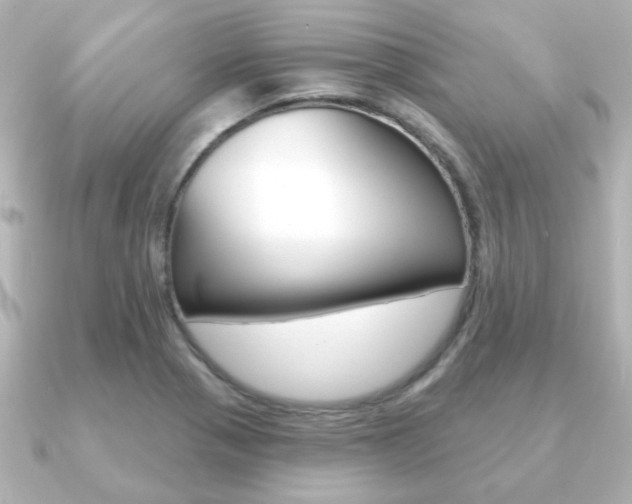 X0000091191321200708091015