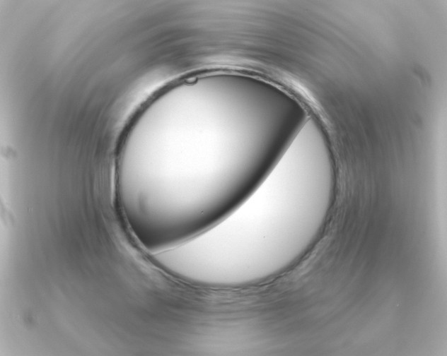 X0000091191323200708091015