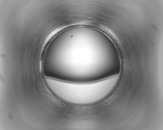 X0000091191324200708091015