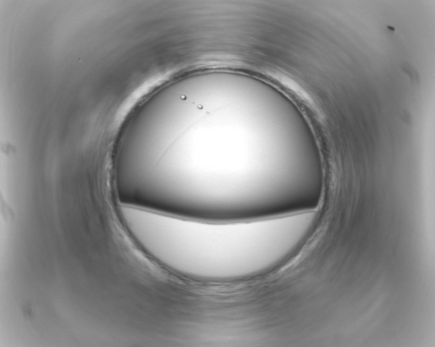 X0000091191325200708091015
