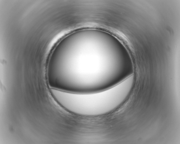 X0000091191326200708091015