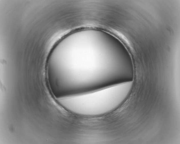 X0000091191327200708091015