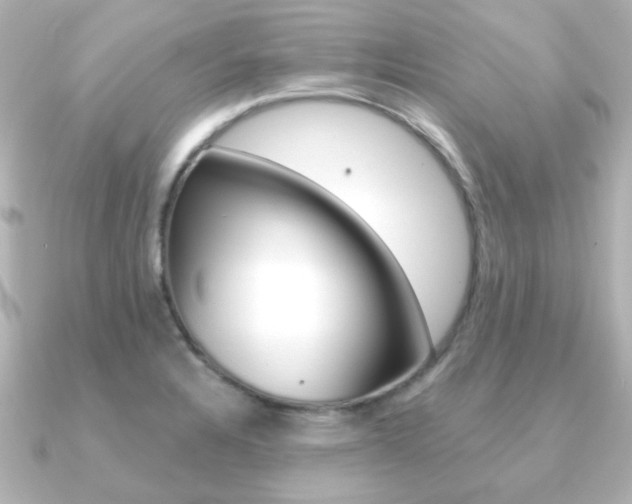 X0000091191328200708091015