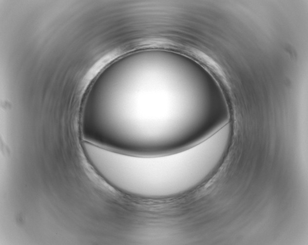 X0000091191330200708091015