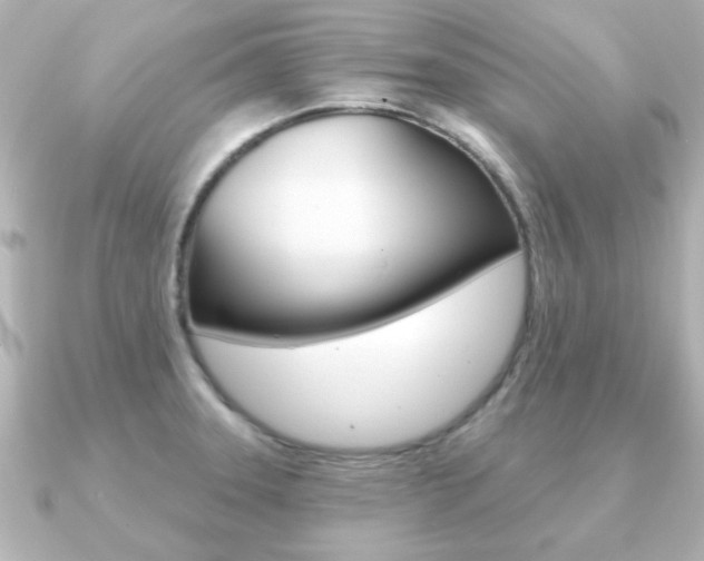 X0000091191331200708091015