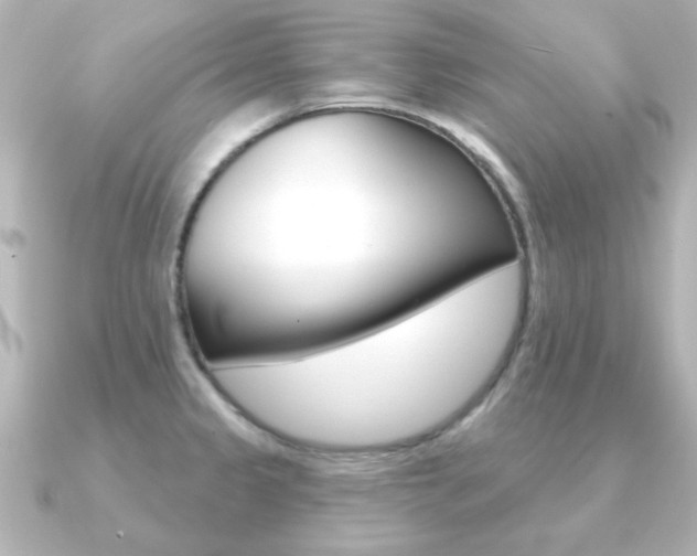X0000091191333200708091015
