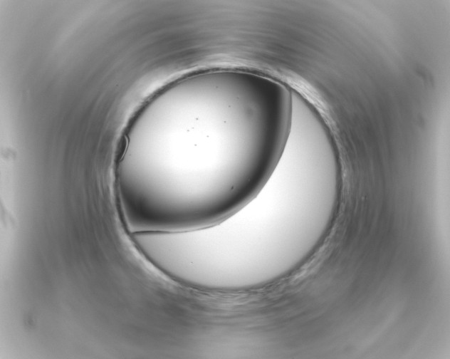 X0000091191334200708091015