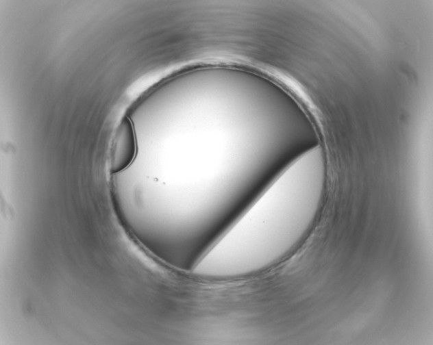 X0000091191335200708091015
