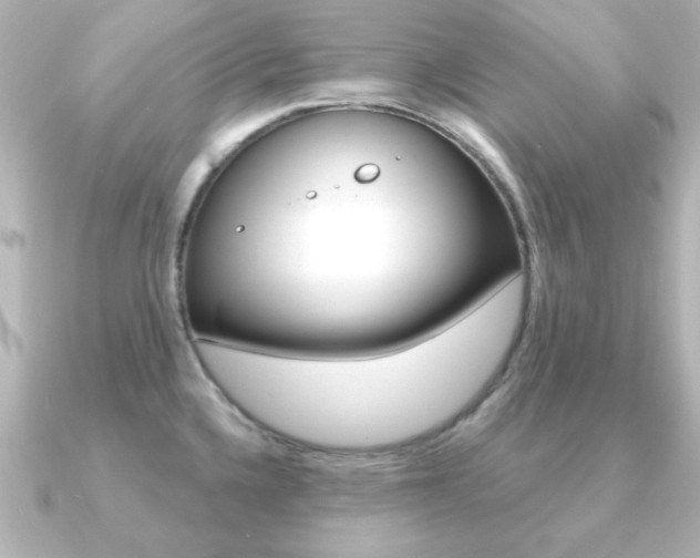 X0000091191336200708091015