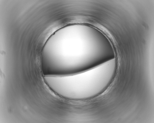 X0000091191337200708091015